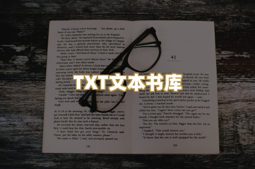 TXT文本书库